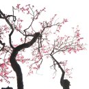 바다의숨결 이미지
