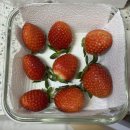 버디버디팜 | 겨울철 딸기 보관법!🍓 쉽고 간단해요.