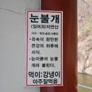 부소산칼국수 | 부여 여행기 : 인생 처음 혼자 떠나다 (1)