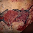 44) 4/4 Pilgrimage: Altamira Cave - Can monkeys draw? 이미지