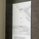 대구 칠곡카페 조용한 디피아이커피학정 학정동 신상 카페 내돈내산 후기