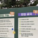 캔뮤직파크