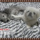 샤론미용실 이미지