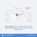 고성동물병원 이미지