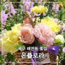 대구태전동우체국 | 태전동 꽃집 대구 북구 꽃다발 온플로라 특별한 날 선물하기 좋은 곳
