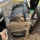 시고르하우스 이미지