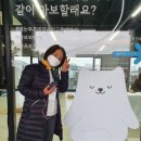 위즈덤씨드 이미지