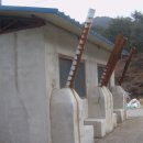 왕비천하늘