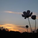 해은농장 이미지