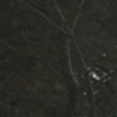 부여미소치과의원 이미지