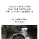 수원-0228 이미지