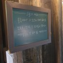 온천장고양이 이미지