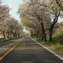 드라마틱 클래식 | 36년 전통의 클래식한 충주 골프장, 임페리얼레이크CC 라운드 후기