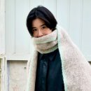 정은채 카카오 검색결과