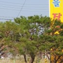 갯마을장어구이 이미지