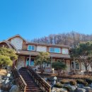 도원능이백숙 이미지