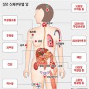 癌극복 이렇게…조기검진 우선, 식단관리 필수 이미지