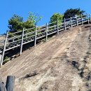 돌산동산정원 네이버블로그