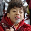 삼복떡고을 | [가평 늘푸른쉼터] ONT와 함께하는 캠핑블로거 초청 캠프