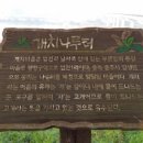 부론초등학교 이미지