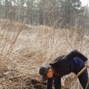 김순기농장 이미지