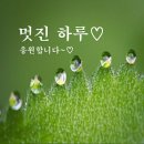 세상 사는 이야기 이미지