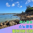 노스타운 | 하와이 노스투어 추천! 샤크코브 스노클링과 할레이바타운 하루 완전정복