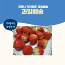 프로과일러 | [슬기로운격리생활한끼] 수플린 카카오선물 과일배송과 남양주 진접 프로과일러 당일과일배송