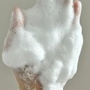 피부가 행복한 날 | 수부지 피부가 직접 써본 라곰 폼클렌징 솔직 후기