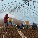 물만난 하우스 이미지