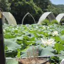 모악산도립공원 대순진리회 앞 | 전주근교 대형카페 헤이그라운드ㅣ금산사 잔디정원 화덕피자 (영업시간·브레이크타임)