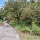 산아래농장 이미지