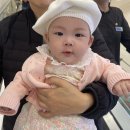 중기이유식 시작 / 중기이유식 큐브만들기 / 애플스푼 닭고기 큐브 / 애플스푼 야채 큐브 / 내돈내산