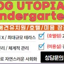 도그유토피아 이미지