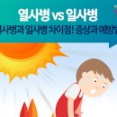 일사병 열사병 증상 응급처치 방법 폭염속 온열질환주의 이미지