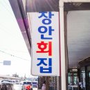 해변길 51 | 강릉 점심 맛집 현지인 사천해변 장안횟집 미역국 포장 팁