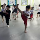 도화 태권도 이미지