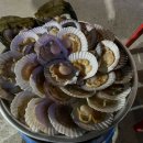 해물장터 이미지