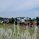 전라남도 농업박물관(테마공원) 이미지