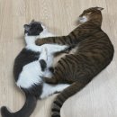 행운콩나물국밥