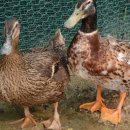 여주곤충박물관 이미지