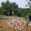 (주)광시스템 이미지