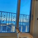 화진 곰탕 이미지