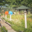 고잔소공원 이미지