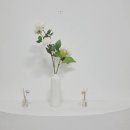 소호익산 이미지