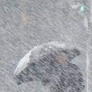 소영이네 이미지