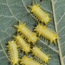 지영농장 이미지