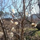 도선국사마을 이미지