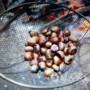 국립희리산해송자연휴양림 이미지