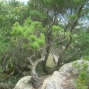 내사농장 이미지